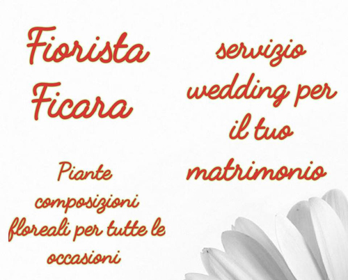 Logo Fiori e Piante di Garro Lucia